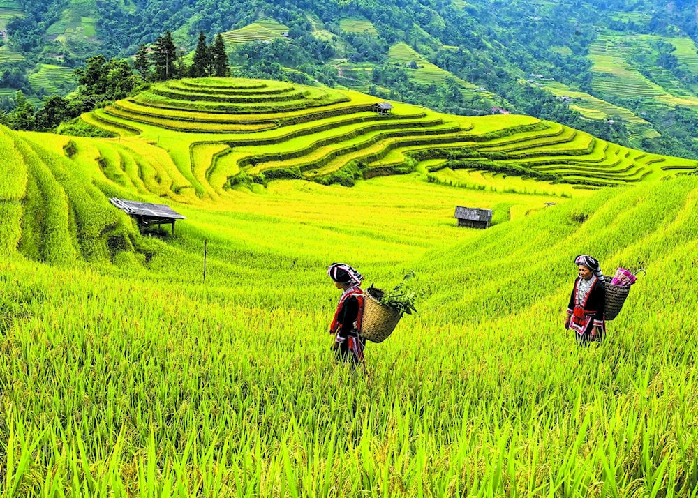 A place where visitors can enjoy peaceful scenery and explore the local culture